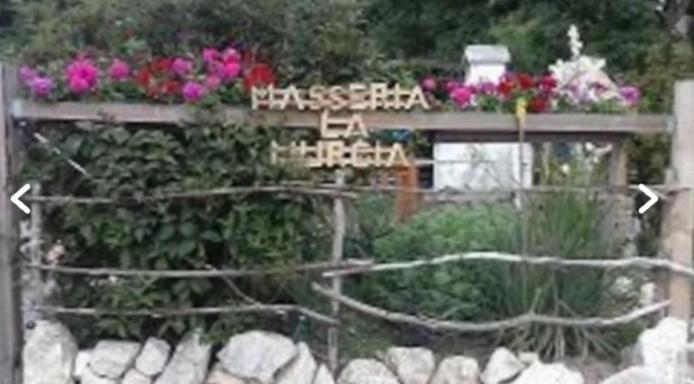 Wildcamp Resort Masseria La Murgia Unterkunft In Einem Wohnwagen Rimbach (Hessen) Exterior foto